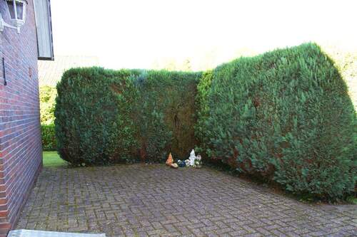 Terrasse - 