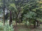 Gemeinschaftspark - 