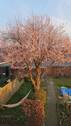 IMG-20260409-WA0005 - 