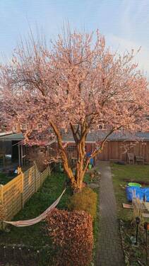 IMG-20260409-WA0005 - 