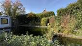 Teich - 