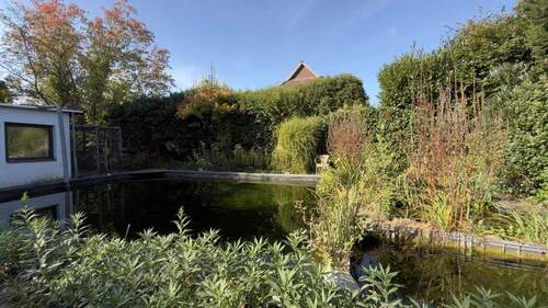 Teich - 