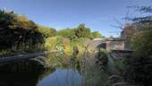 Teich - 