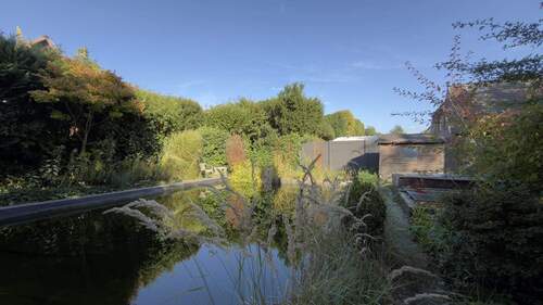 Teich - 