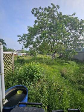 Bild 4 - Mehrfamilienhaus, Wohnhaus mit 342,00 m&sup2; in Leverkusen zum Kaufen