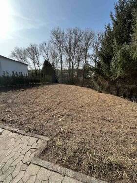 Blick ins Grundstück - 