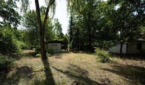 Grundstück innen 1.jpg - großes naturnahes Grundstück - Schönwalde-Glien