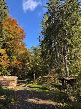 Wald und Wanderwege vor der Tür - 3 Zimmer Etagenwohnung in Schmallenberg