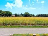 Freier Weitblick - 