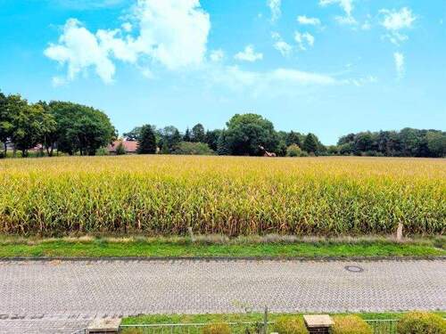 Freier Weitblick - 