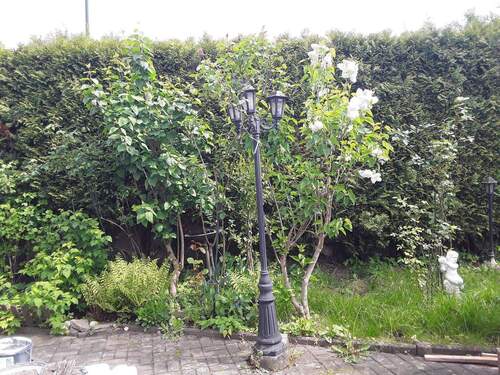 Bild 2 - 8 Zimmer Einfamilienhaus zum Kaufen in Kerpen