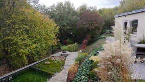 IMG-20251105-WA0015 - 