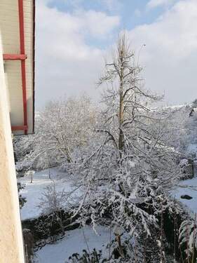 Ausblick aus Zimmer 3 im OG - 