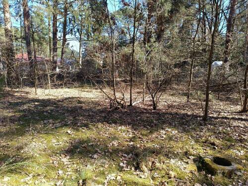 1743746030532.jpg - Grundstück in Mittenwalde zum Kaufen