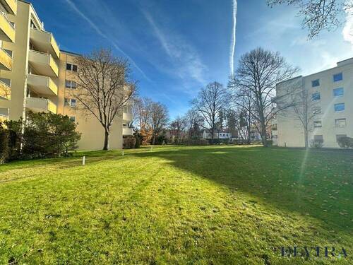 Gemeinschaftsgarten - 