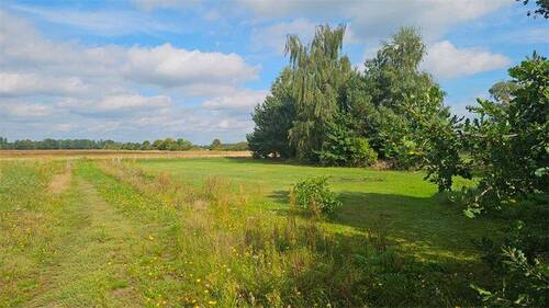20250919_120745 - 5 Zimmer Einfamilienhaus in Wittichenau