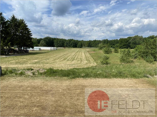 Ausblick in die Kanalwiesen - Einfamilienhaus mit 202,00 m² in Wendisch Rietz zum Kaufen