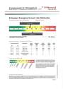 Energieausweis - 
