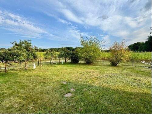 Garten mit Blick übers Feld - 