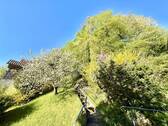 Ihr Garten gen Süden - 