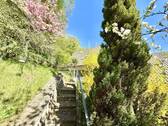 Am Weg zu Ihrer Terrasse - 