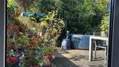 Terrasse-Garten - 