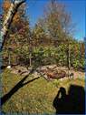 Sitzplatz - 