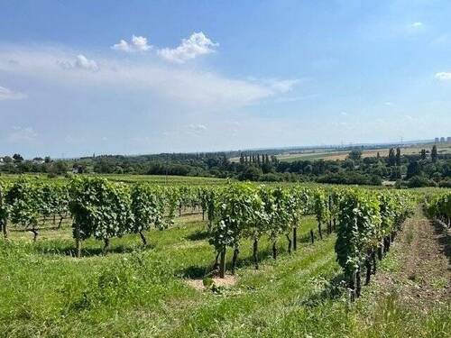 Ausblick Ausfahrt - 