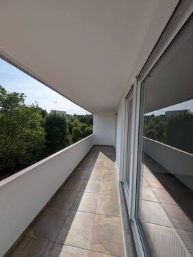 PXL_20250708_154818365.jpg - 