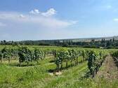 Ausblick Ausfahrt - 