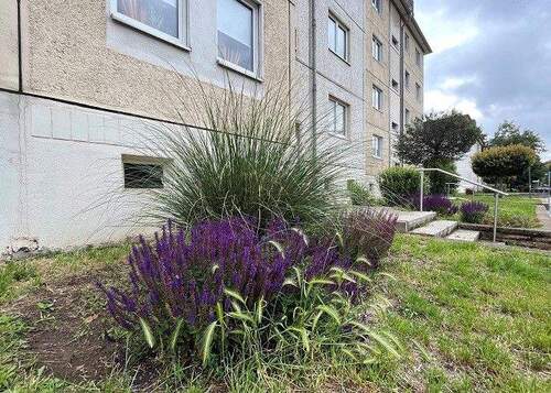 Bild 2 - 3 Zimmer Etagenwohnung zur Miete in Oschersleben