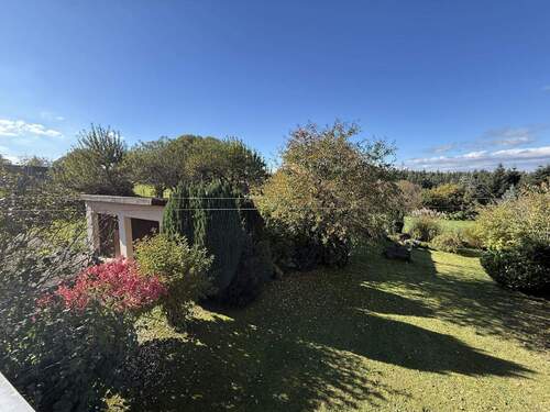 Blick vom Balkon ins Grüne - 