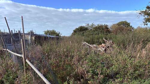 Grundstücksbereich - Einfamilienhaus mit 130,00 m&sup2; in Börgerende zum Kaufen