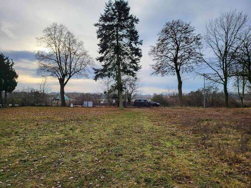 20221220_110932 klein.jpg - Grundstück in Blankenfelde-Mahlow zum Kaufen