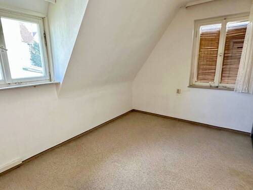 Zimmer DG - 