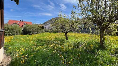 Hier entsteht Ihr neues Heim - 