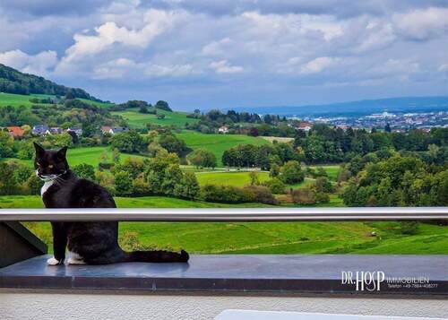 Blick zum Schönberg und Freiburg.jpg - 