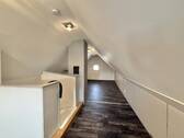 Dachspitz - 