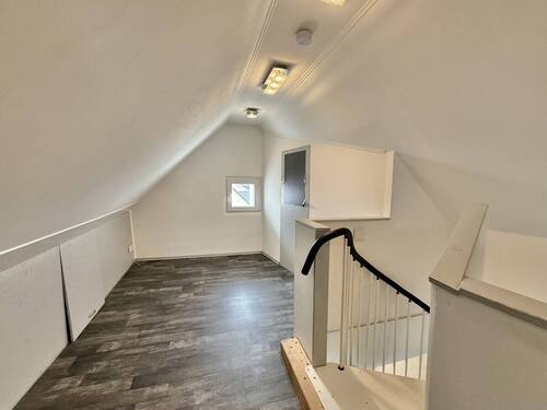Dachspitz - 