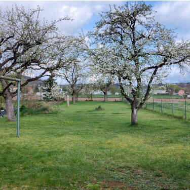 Garten - 