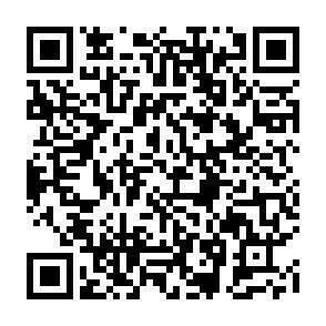 QR-Code - 