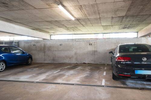 Stellplatz - 