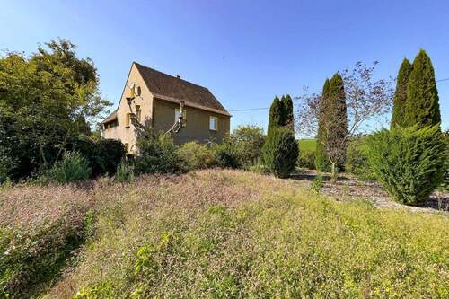 Garten - 4 Zimmer Einfamilienhaus zum Kaufen in Geithain