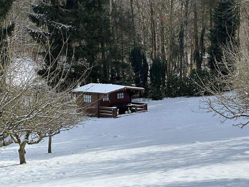 Blick auf den Garten - 
