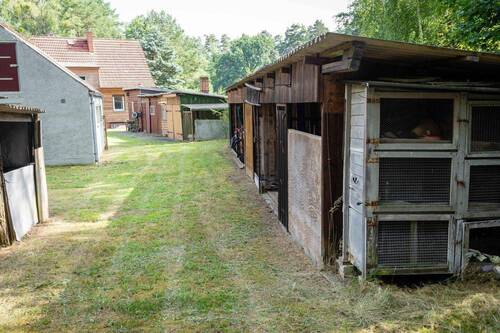 Vom Apfelbaum aufs Haus - 