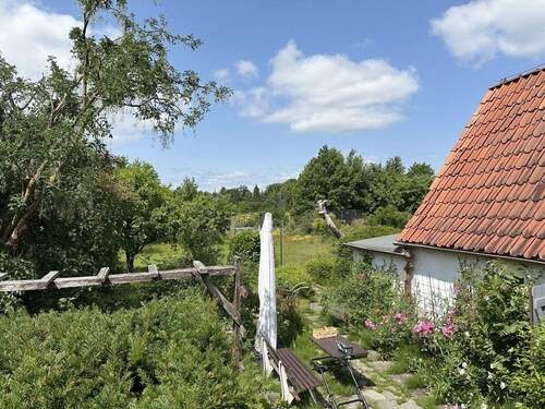 Garten - 5 Zimmer Einfamilienhaus zum Kaufen in Hamburg