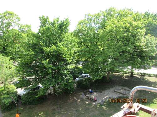 IMG_0975.JPG - 