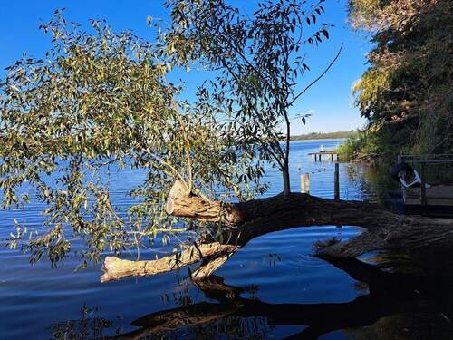 Motzener See - Baugrundstück mit Zugang zum Motzener See mit Steg sowie massivem Bungalow