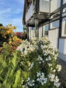Bild 21 - 