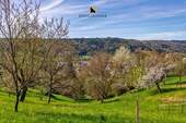 Umgebung - 